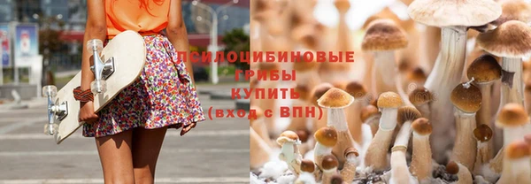 марки nbome Инта